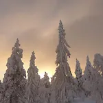 Дом отдыха Ro I Sjelen. Til Leie Pa Skrim. *