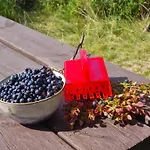 Ro I Sjelen. Til Leie Pa Skrim. Дом отдыха *