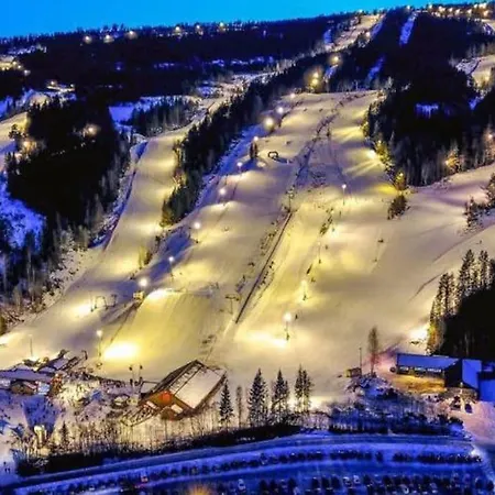 Ro I Sjelen. Til Leie Pa Skrim. Kongsberg