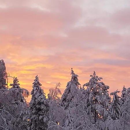 Ro I Sjelen. Til Leie Pa Skrim. Kongsberg
