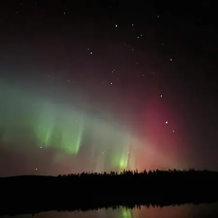 Ro I Sjelen. Til Leie Pa Skrim. * Kongsberg