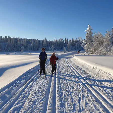 Ro I Sjelen. Til Leie Pa Skrim. * Kongsberg