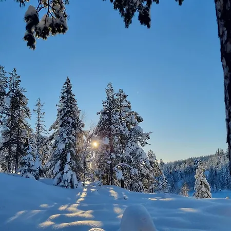 Ro I Sjelen. Til Leie Pa Skrim. * Kongsberg