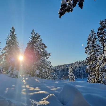 Ro I Sjelen. Til Leie Pa Skrim. Omholt