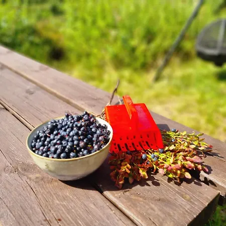Ro I Sjelen. Til Leie Pa Skrim. Ferienhaus *