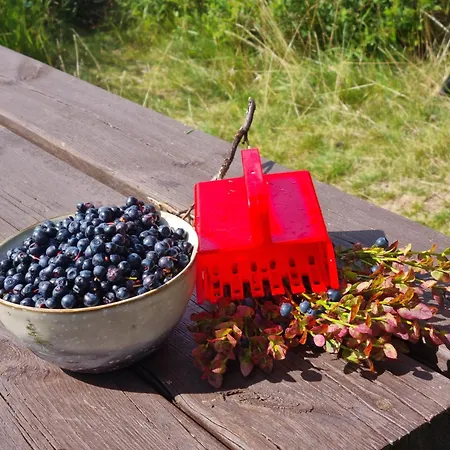 Ro I Sjelen. Til Leie Pa Skrim. Ferienhaus *