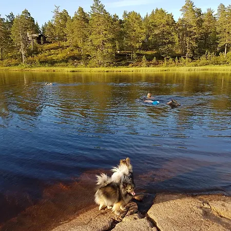 Ro I Sjelen. Til Leie Pa Skrim. Omholt