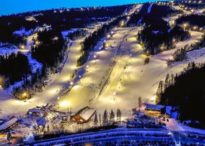 Ro I Sjelen. Til Leie Pa Skrim. Kongsberg