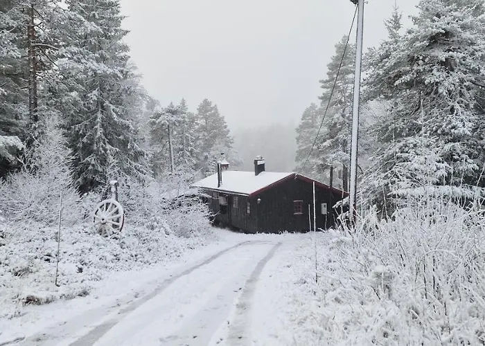 بيت للعطل Ro I Sjelen. Til Leie Pa Skrim. Kongsberg