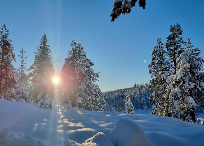 Ro I Sjelen. Til Leie Pa Skrim. Kongsberg