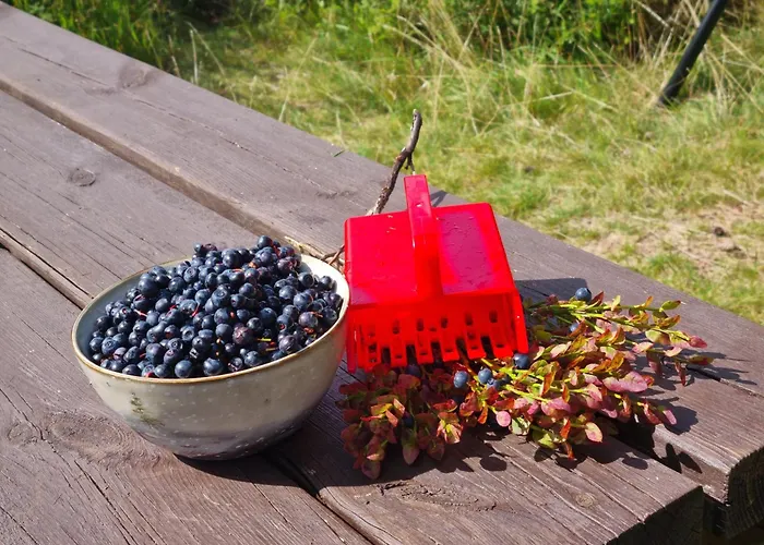Ro I Sjelen. Til Leie Pa Skrim. Casa vacanze *