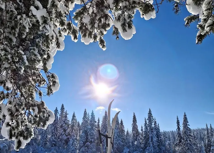 Ro I Sjelen. Til Leie Pa Skrim. * Kongsberg