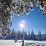 Ro I Sjelen. Til Leie Pa Skrim. * Kongsberg